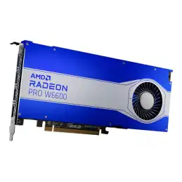 AMD Radeon Pro W6600 - Carte graphique - Radeon Pro W6600 - 8 Go GDDR6 - PCIe 4.0 x8 - 4 x DisplayPort (100-506159)_1